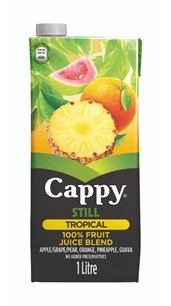 Cappy Tropical 1L